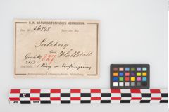 Etikett zu Bronzegehänge (NHMW-PRAE-026148)